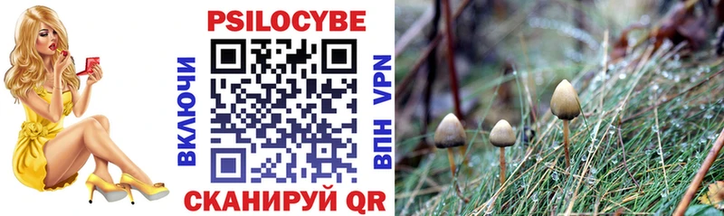 Псилоцибиновые грибы Psilocybine cubensis  Алейск 